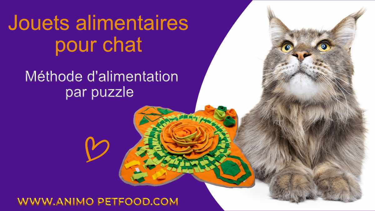 jouets-alimentaires-pour-chat-methode-d-alimentation-par-puzzle